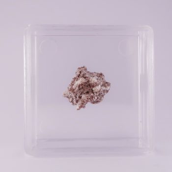 opal an from caspar quarry, germany