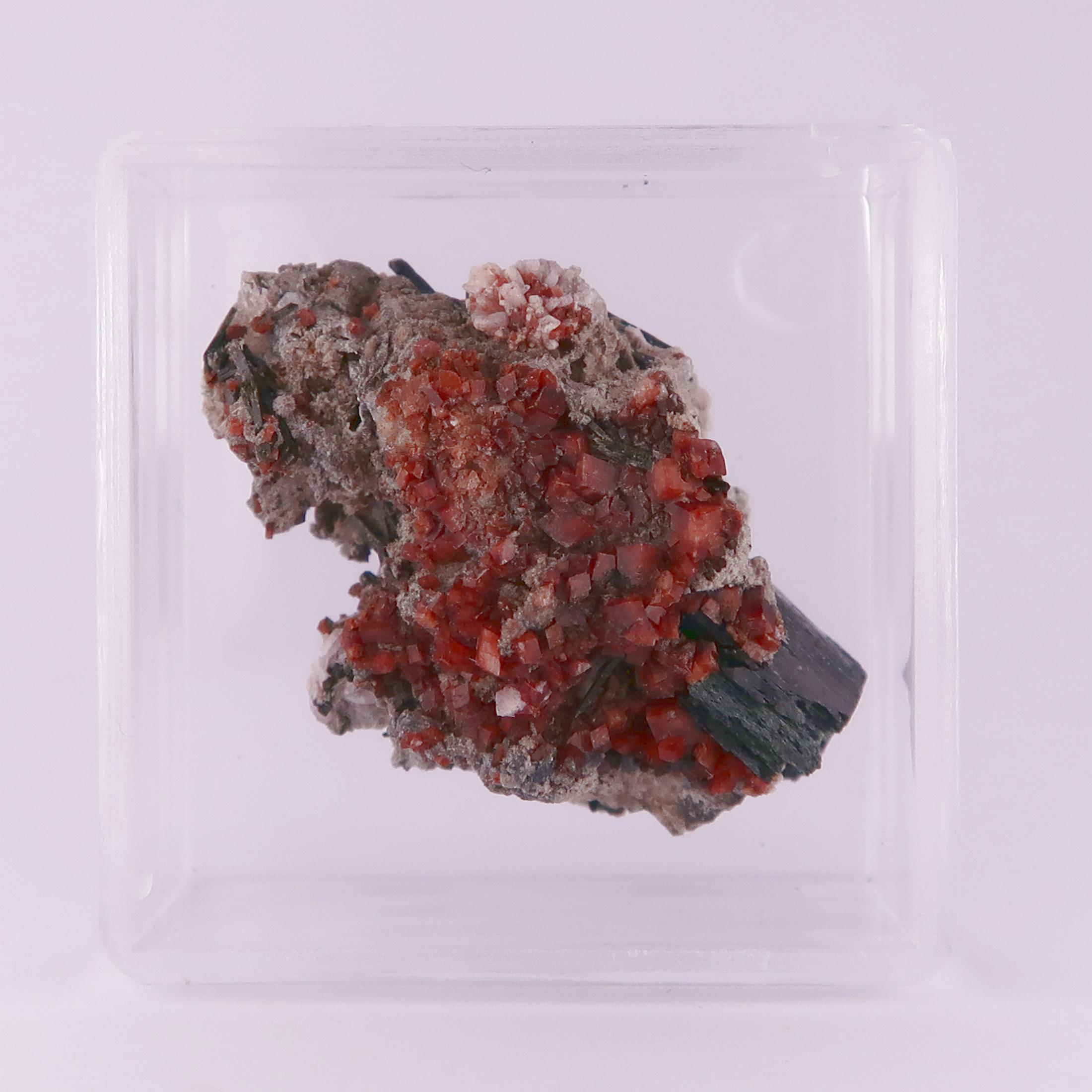 rhodochrosite and arfvedsonite from mont saint hilaire, canada