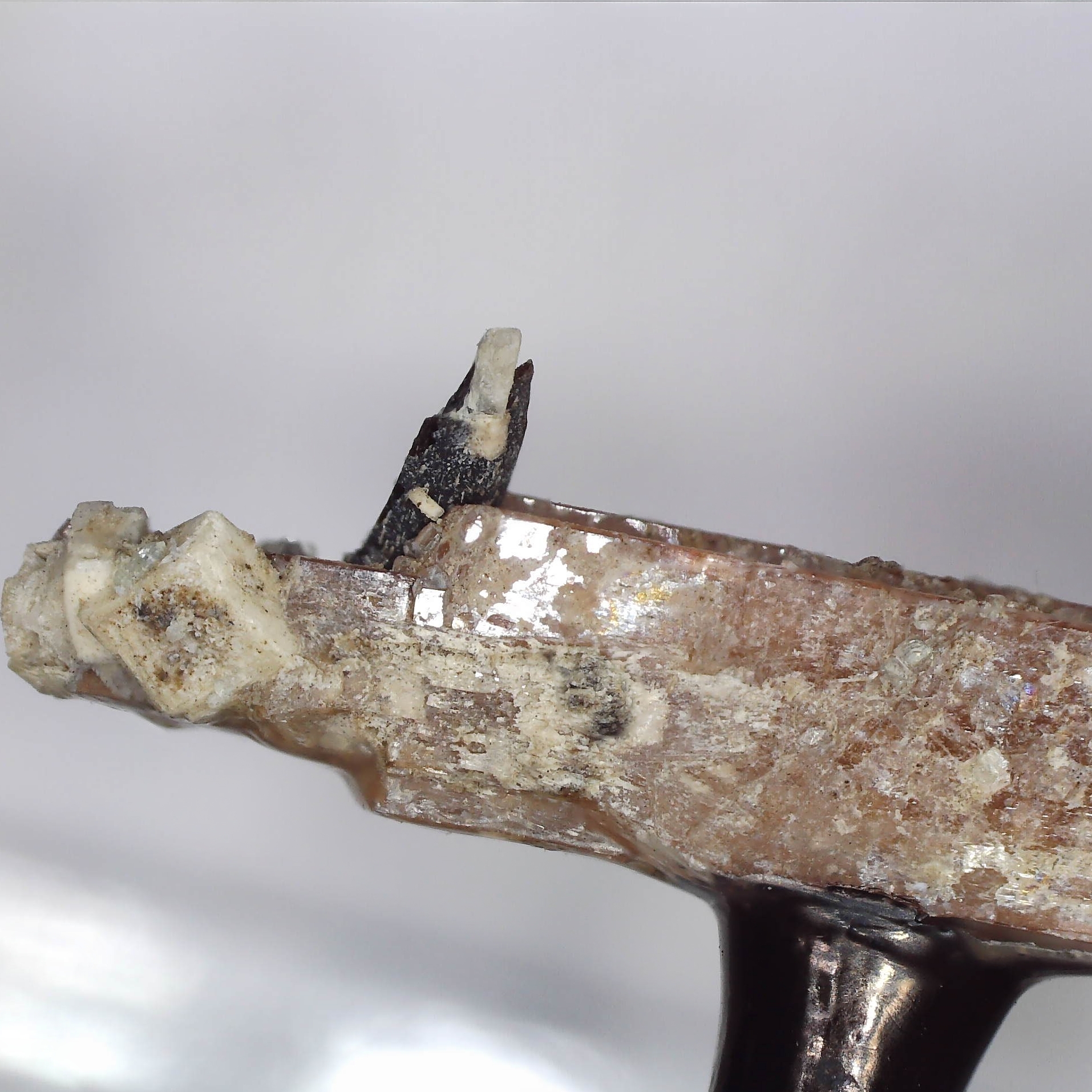 serandite, leucophanite, aegirine from mont saint hilaire, canada