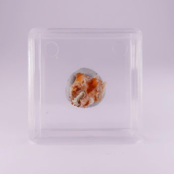 bariopharmacosiderite, dufrenite, kidwellite from ste barbe vein, france