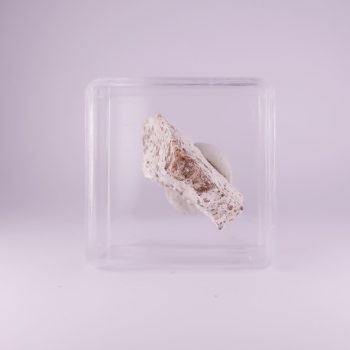 brownmillerite from bellerberg volcano, germany