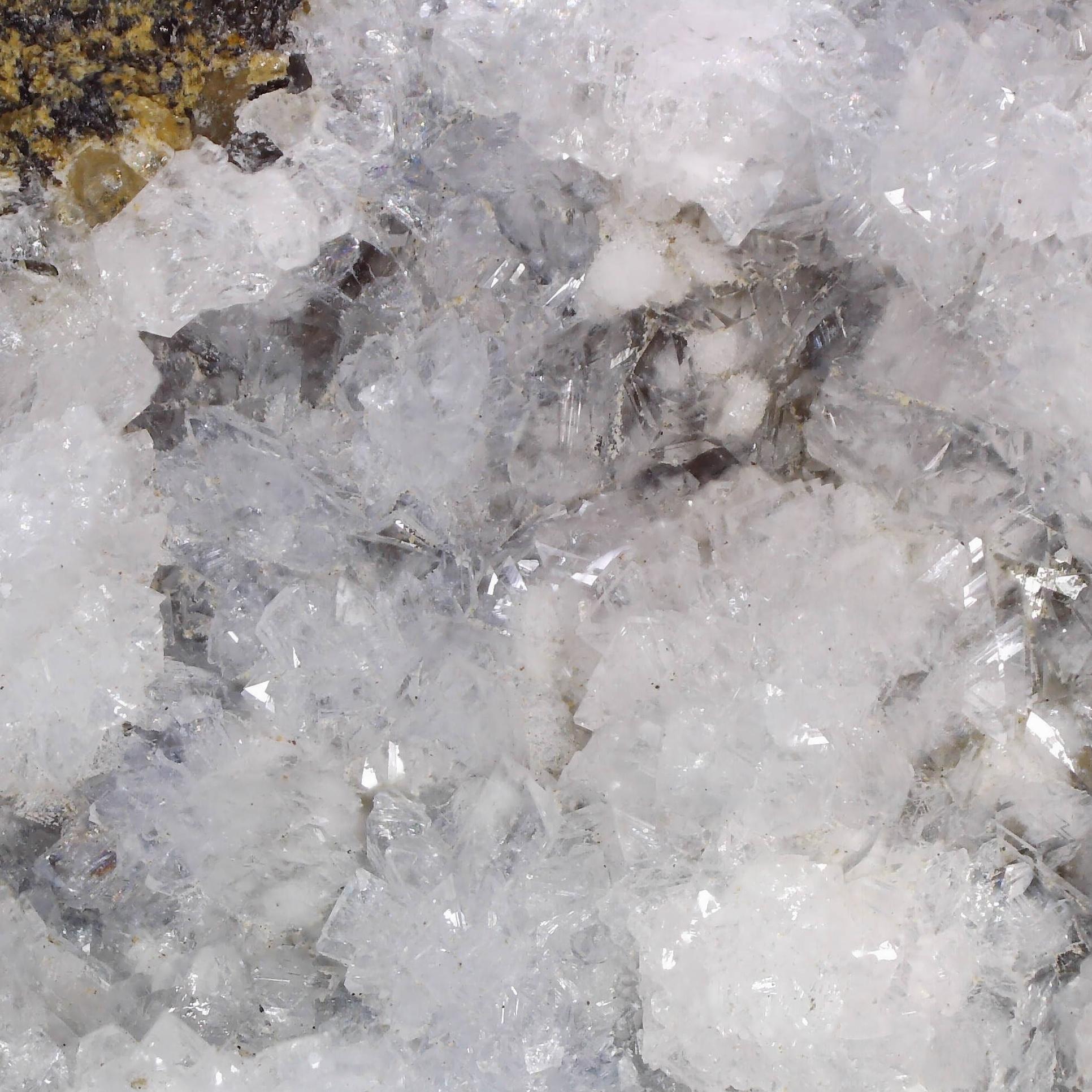 gismondine from graulay quarry, germany