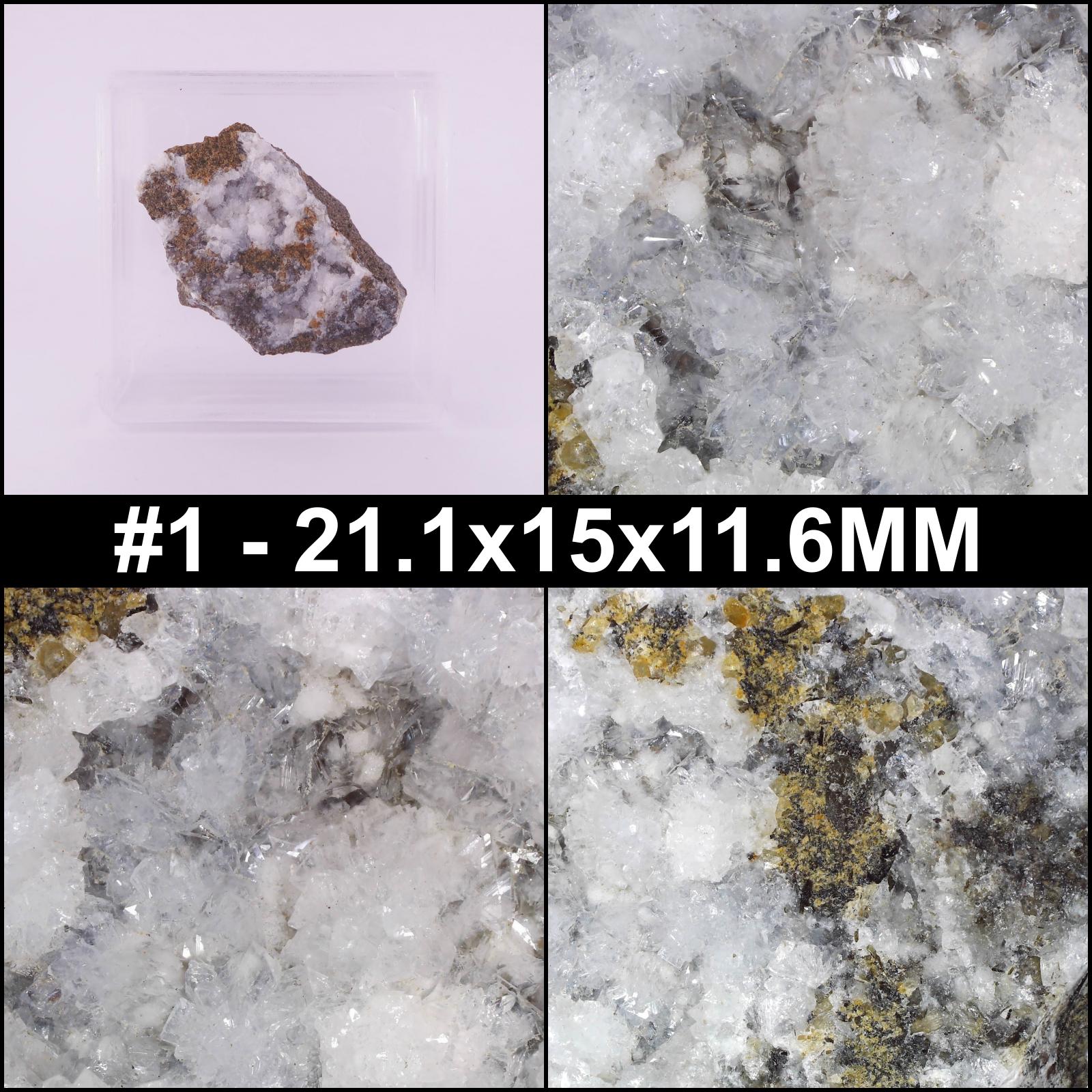 gismondine from graulay quarry, germany