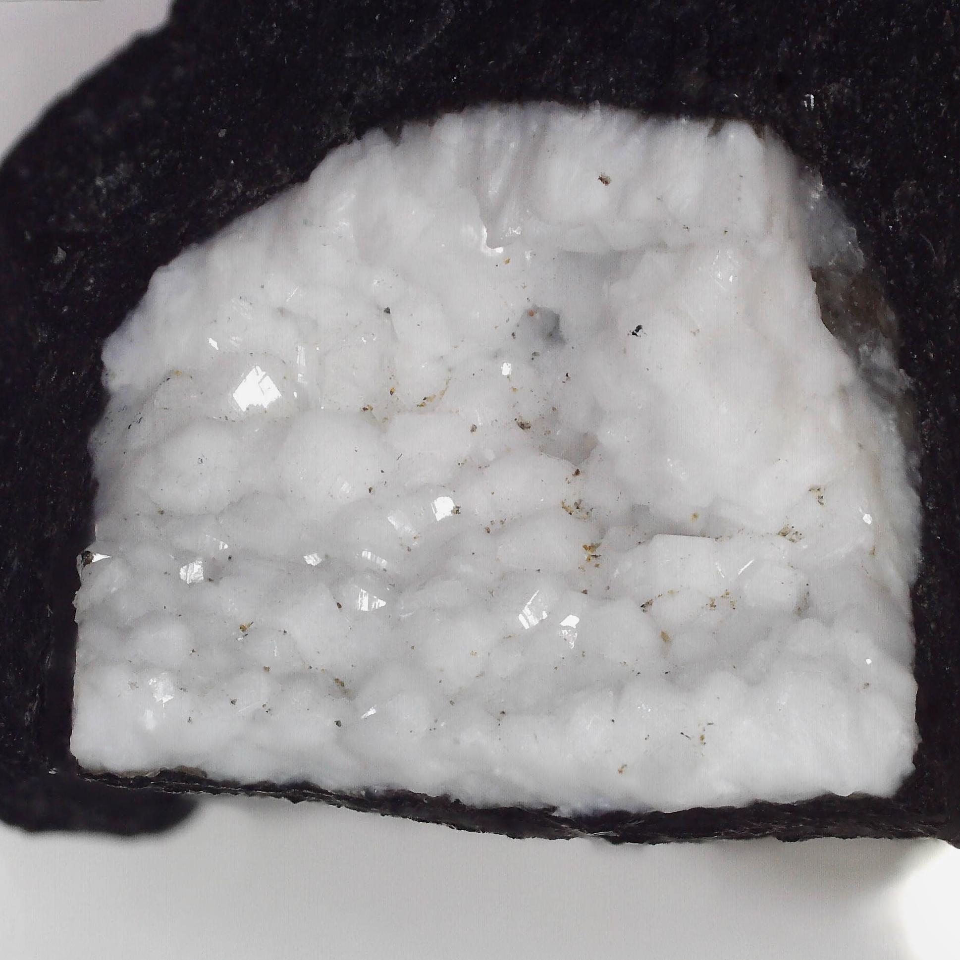 gismondine from zilsdorf, germany