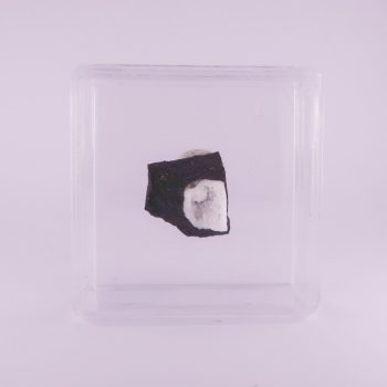 gismondine from zilsdorf, germany