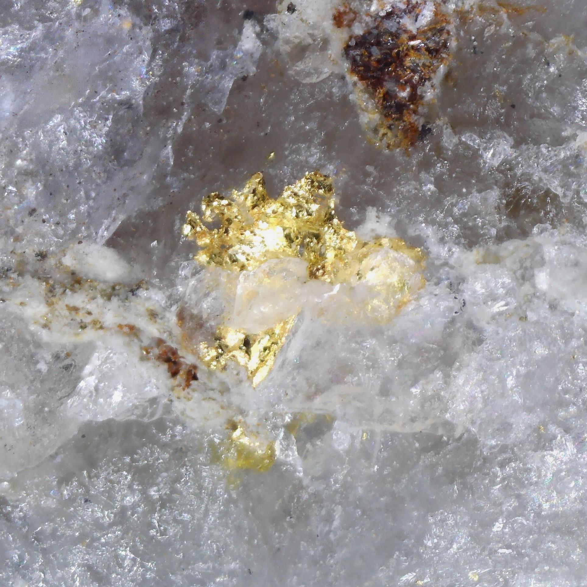 gold specimens from new south wales, australia