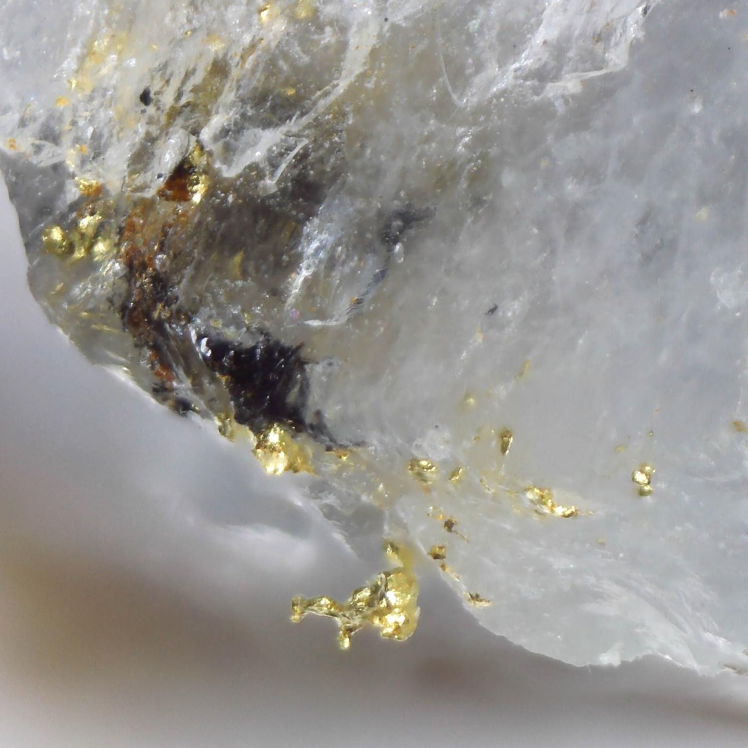 gold specimens from new south wales, australia