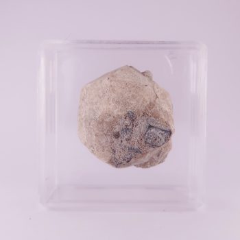 leucite from roccamonfina volcanic complex, italy
