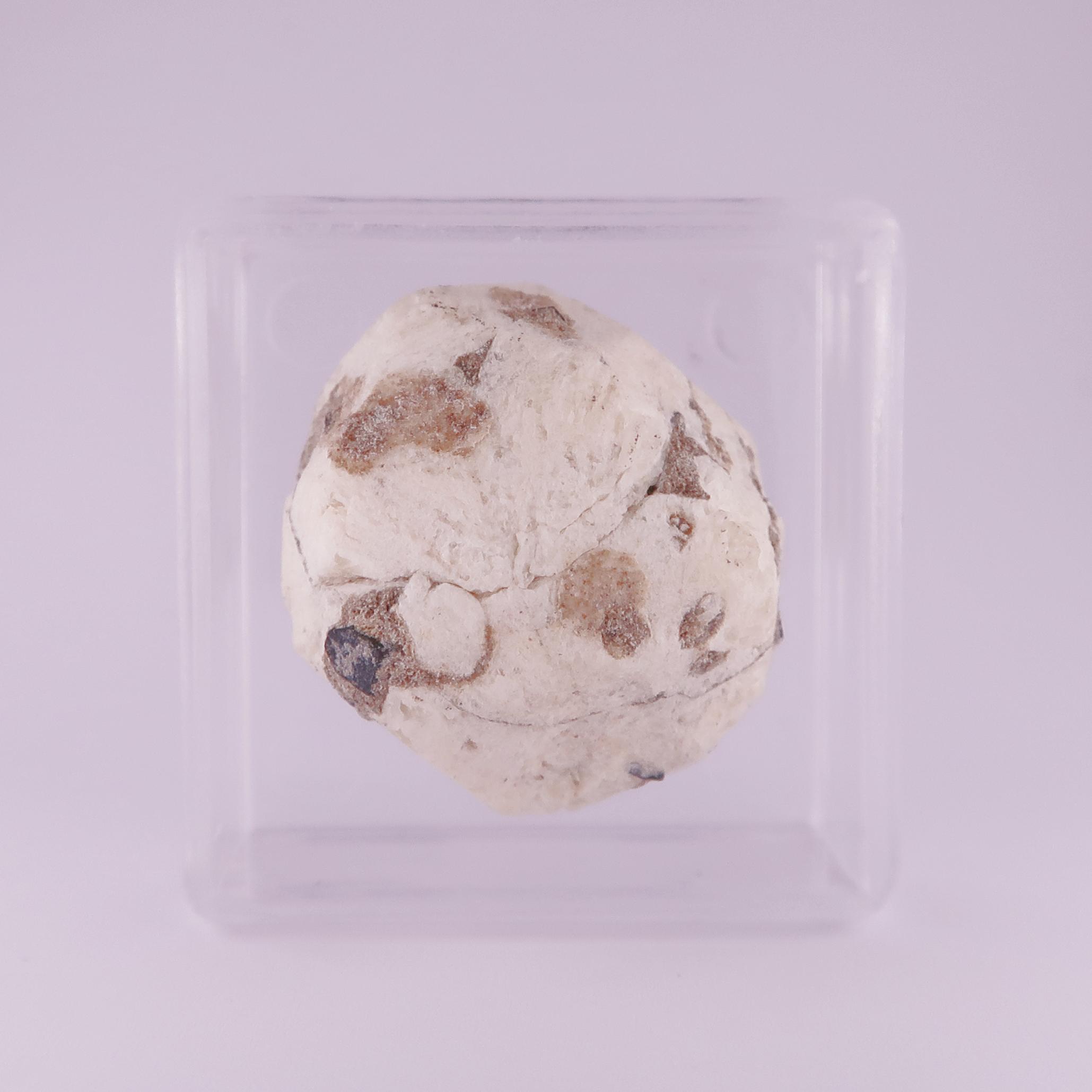 leucite from roccamonfina volcanic complex, italy