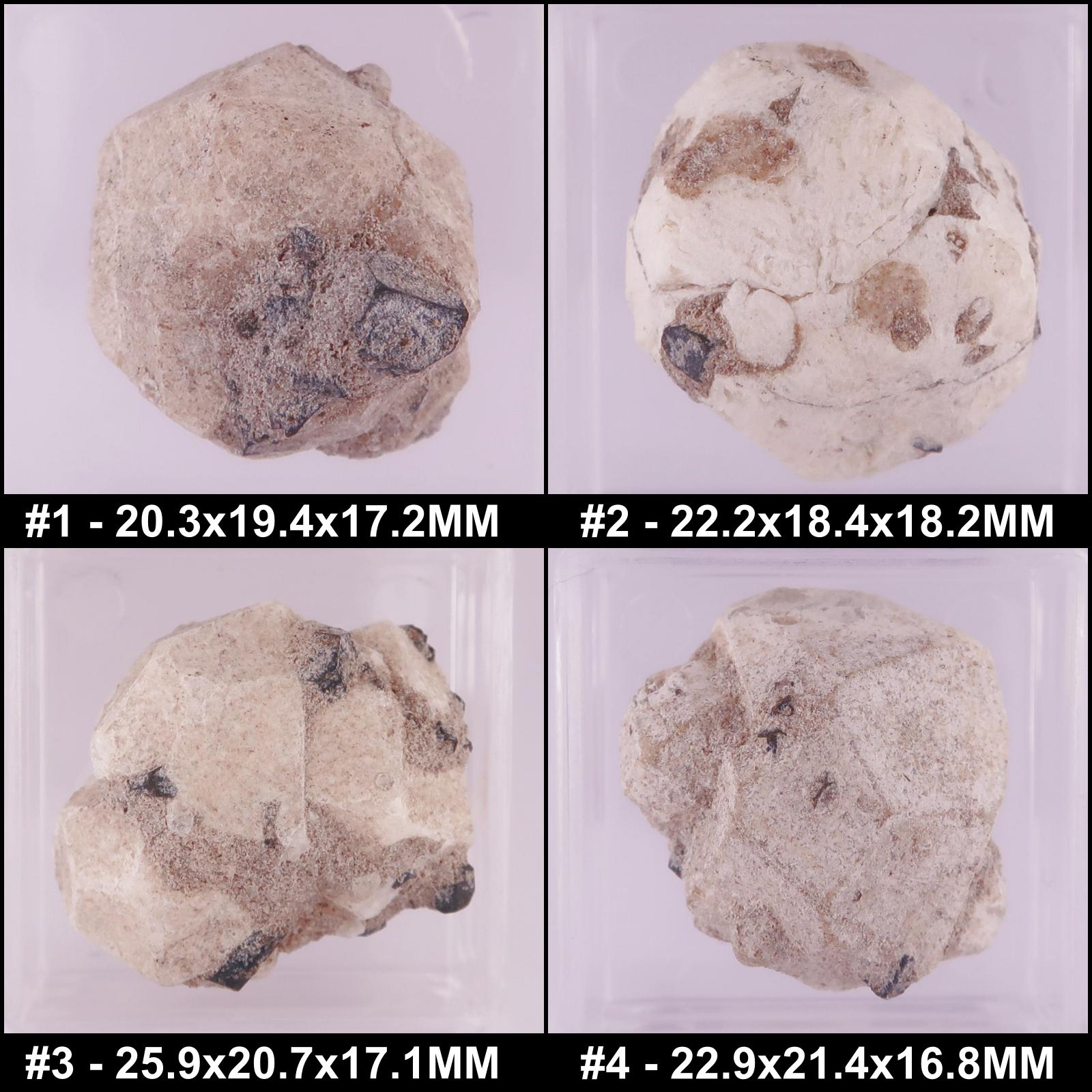 leucite from roccamonfina volcanic complex, italy