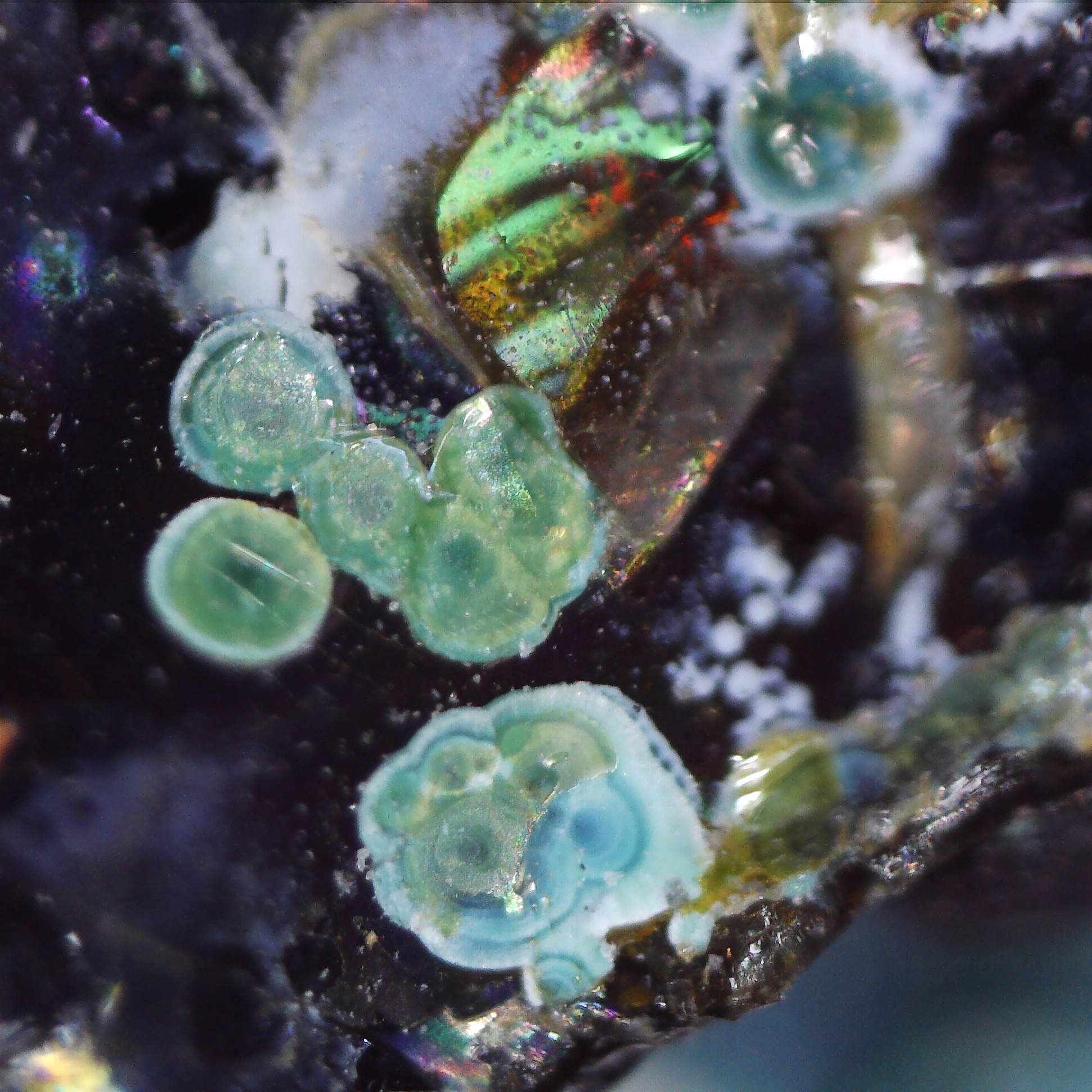 malachite from meadowfoot smelter, scotland #1 14.9x14.5x10.5mm