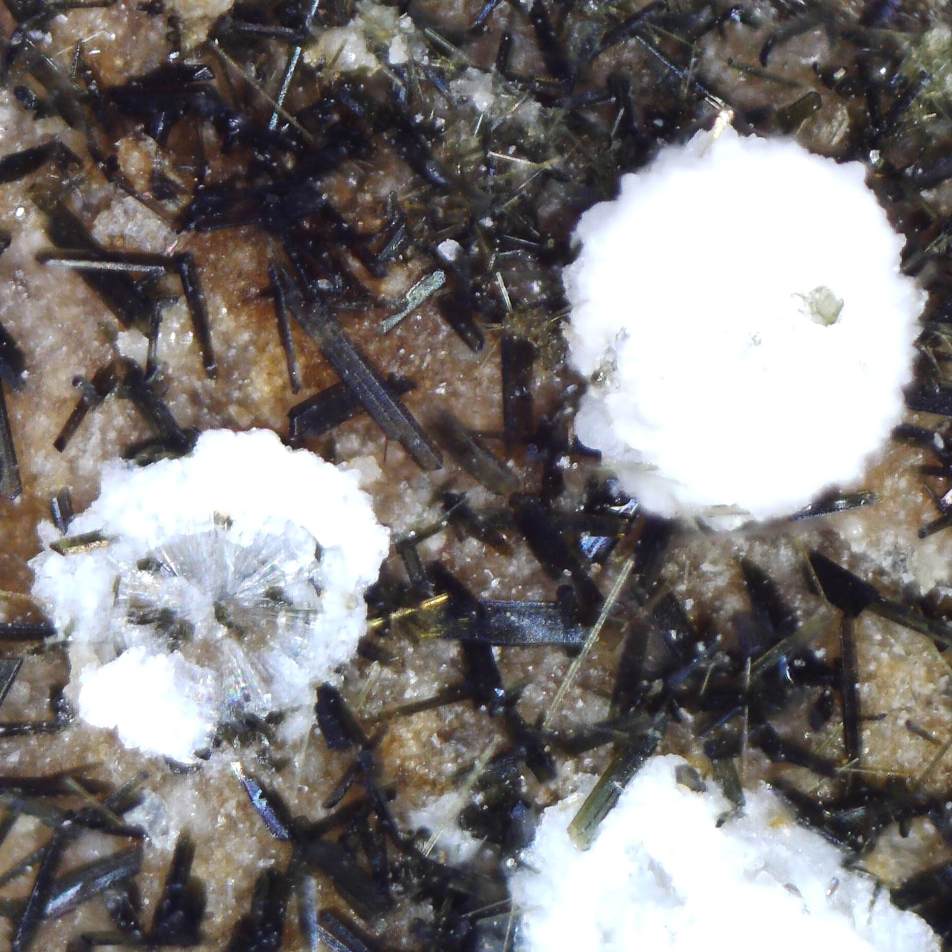 paranatrolite and aegirine from brenk, germany