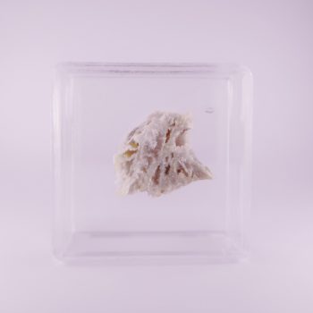 plumbogummite from ste barbe vein, france