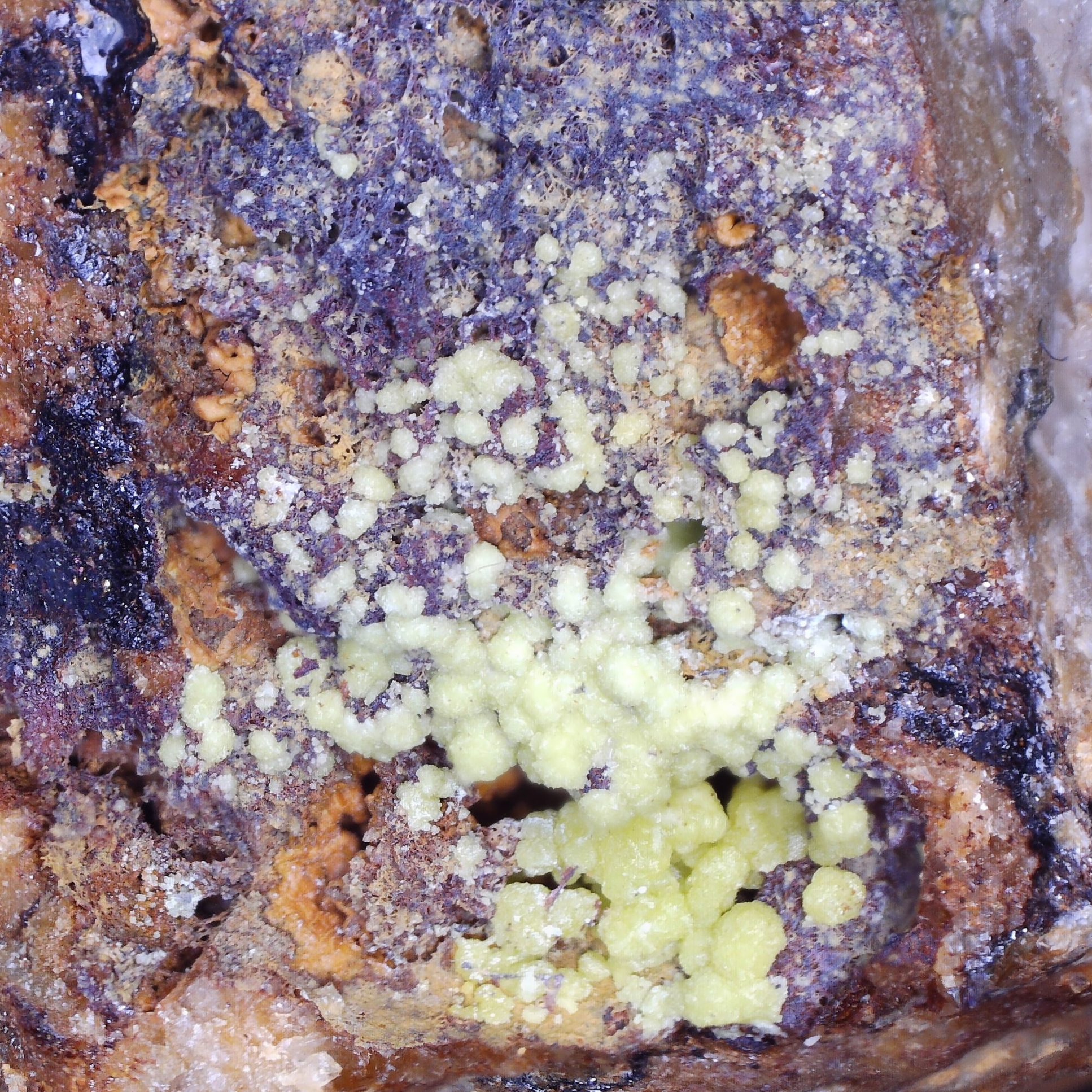 pyromorphite from roughton gill, cumbria