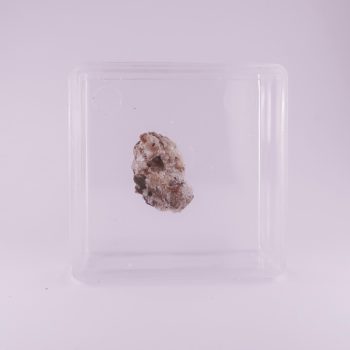 pyroxferroite from caspar quarry, germany