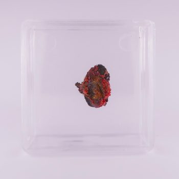 realgar from la ricamarie, france