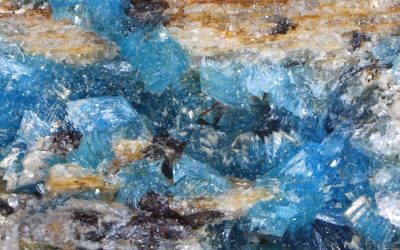 Roger Harker collection specimens – set 1