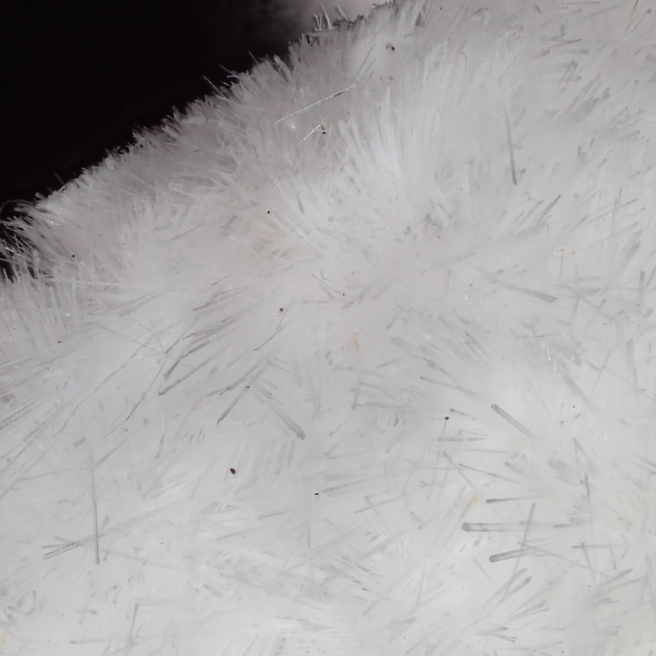 Artinite from Staten Island, USA