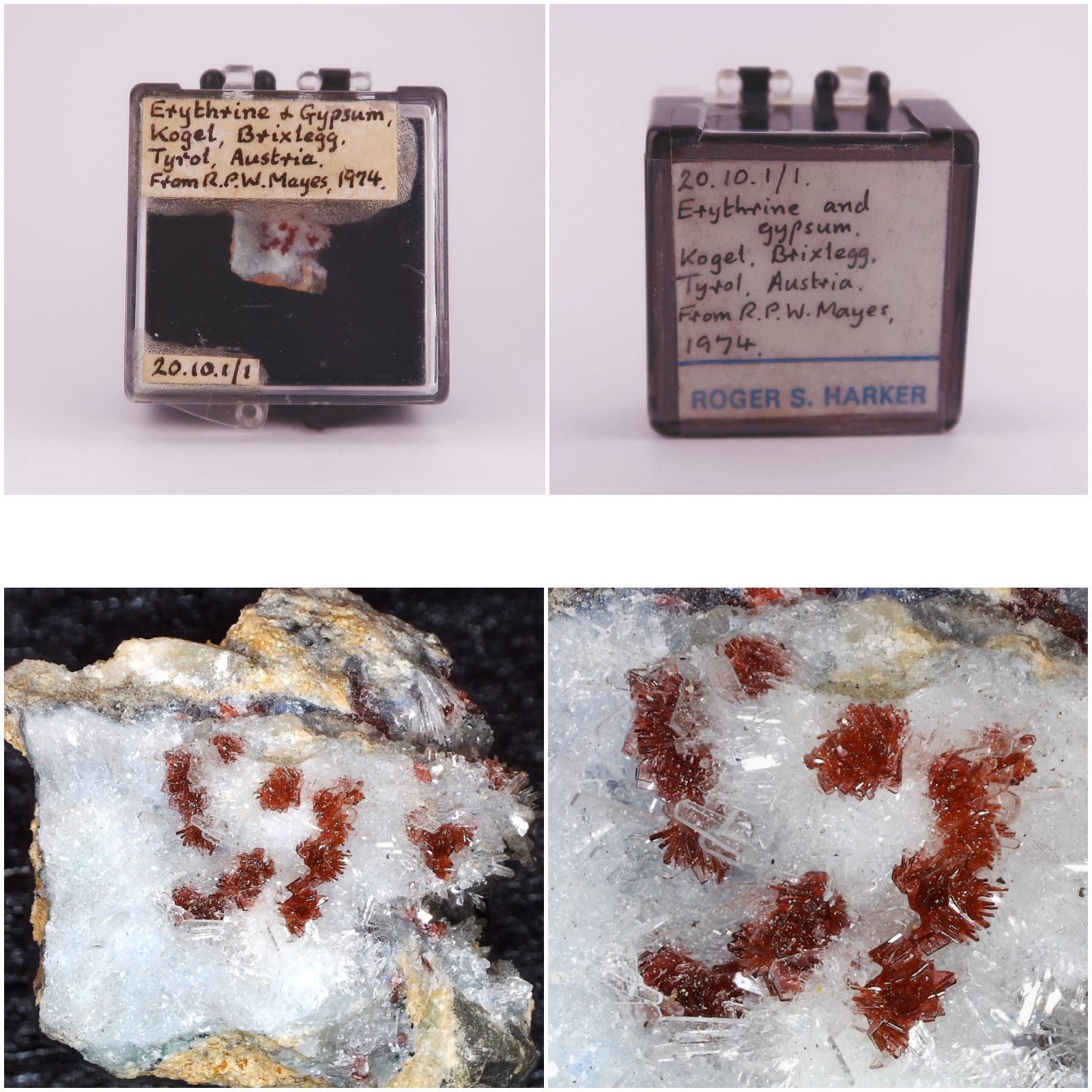 erythrite and gypsum from hauskogel, austria