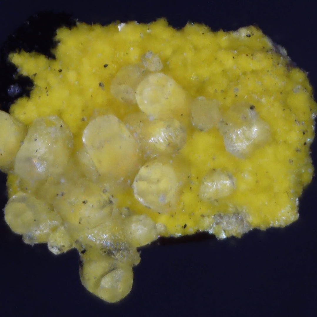 tyuyamunite and calcite from grants mining district, usa