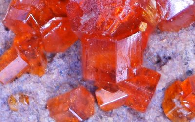 Roger Harker collection specimens – set 2