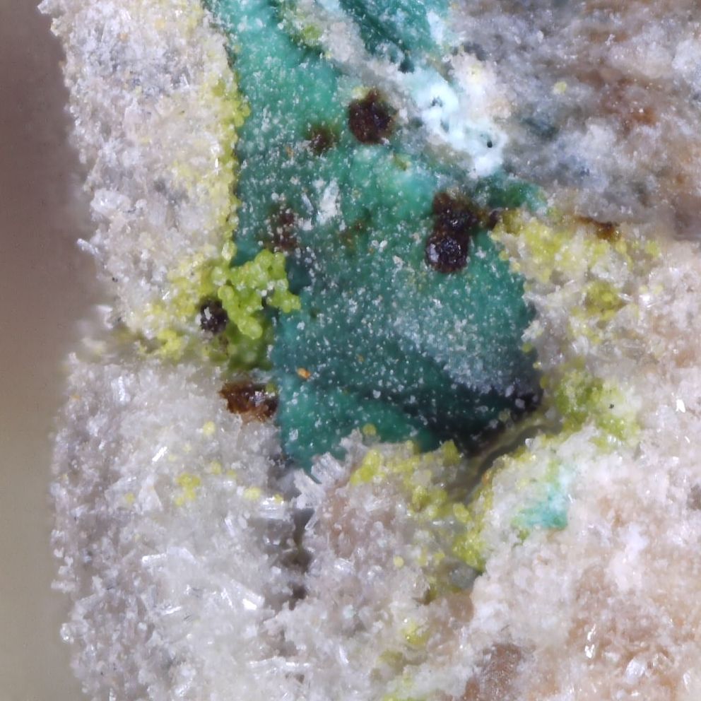  Vésigniéite and Malachite from Bardon Hill Quarry, Leicestershire