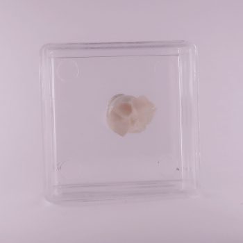 calcite from newhurst quarry, leicestershire