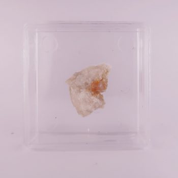 fluorapatite from noyes mountain quarry, usa