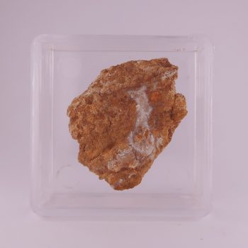 minyulite from tom's quarry, australia