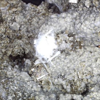Ferrierite