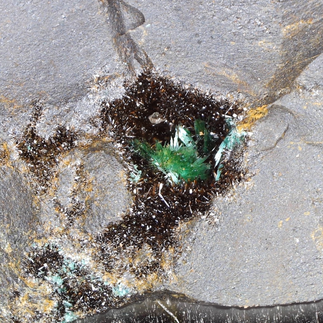 malachite and goethite from torr works quarry, somerset