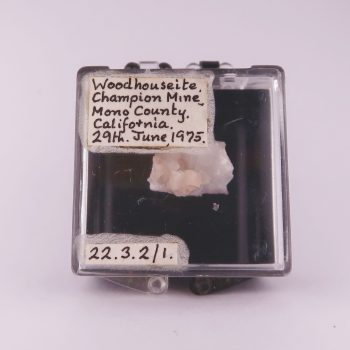 woodhouseite from champion mine, usa