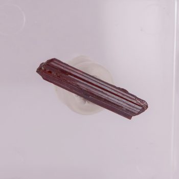 img 4798