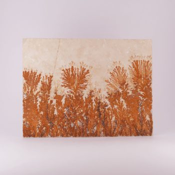 manganese dendrite specimens from solnhofen, germany #1 79.7x59.3x8.2mm