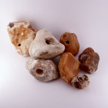 hag stones from the uk