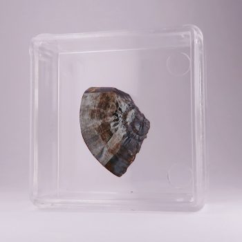 hematite from hadermannsgrün quarry, germany